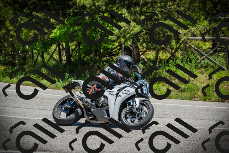 202506021253-DSC04974_c1_