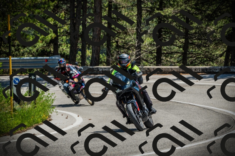 202506021254-DSC04978_c1_