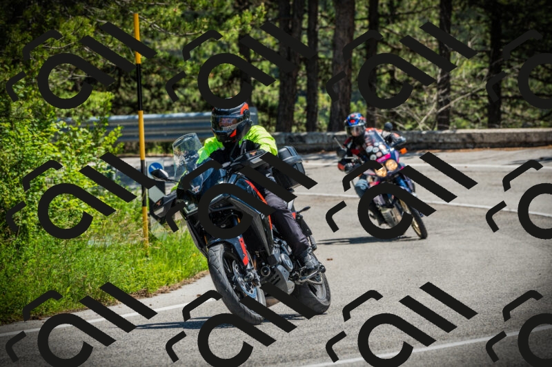 202506021254-DSC04979_c1_