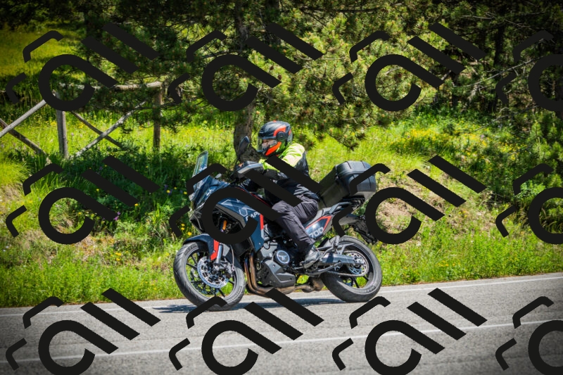 202506021254-DSC04980_c1_