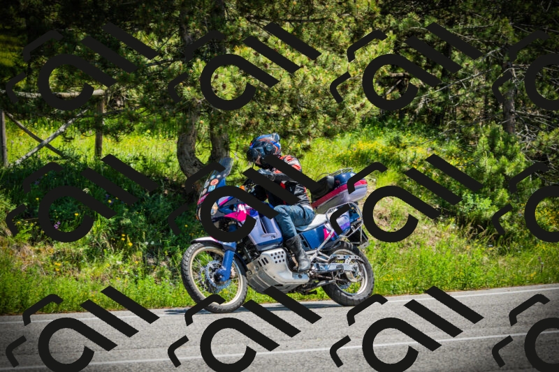 202506021254-DSC04981_c1_