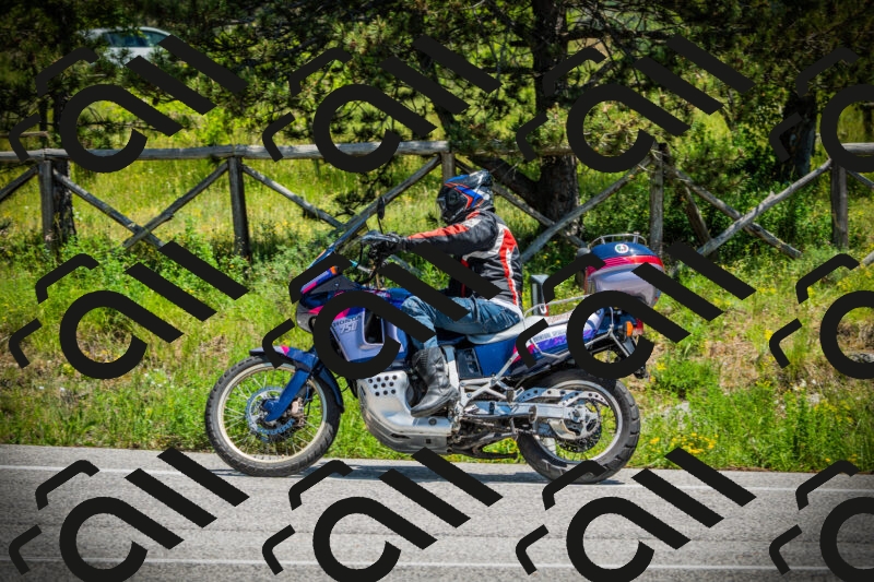 202506021254-DSC04982_c1_