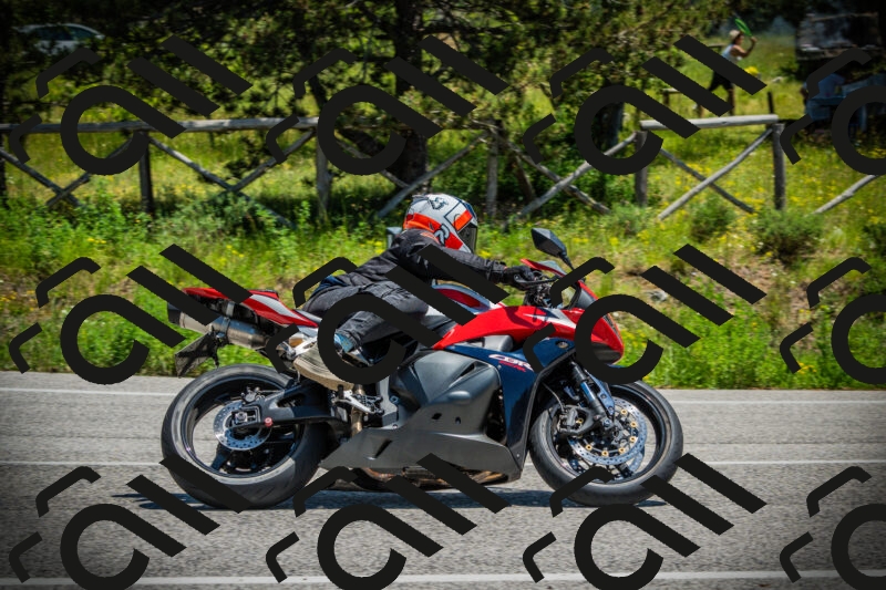 202506021255-DSC04987_c1_