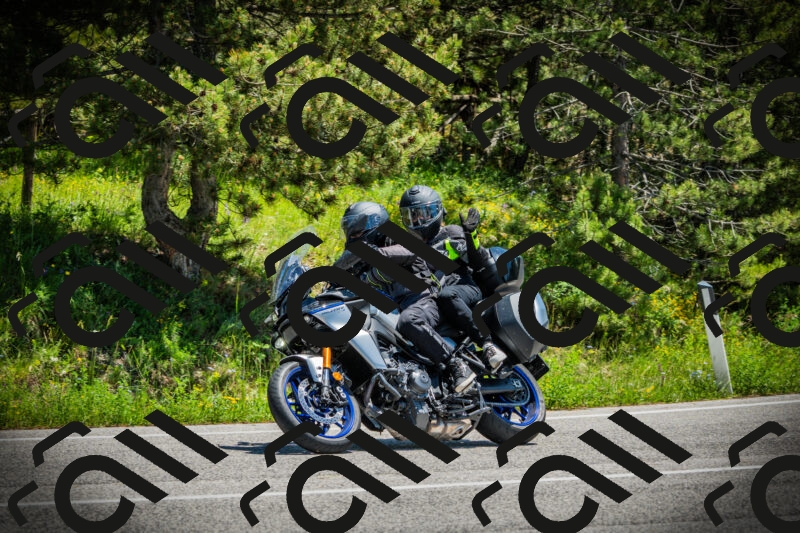 202506021255-DSC04999_c1_