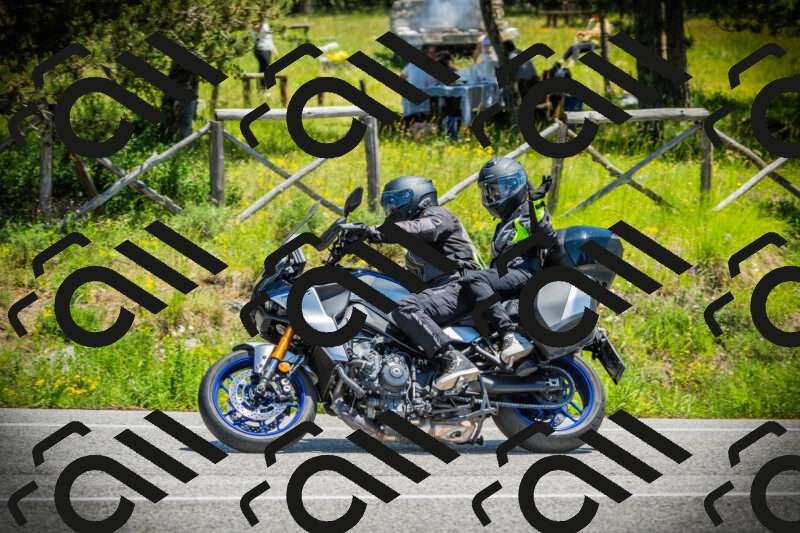 202506021255-DSC05000_c1_