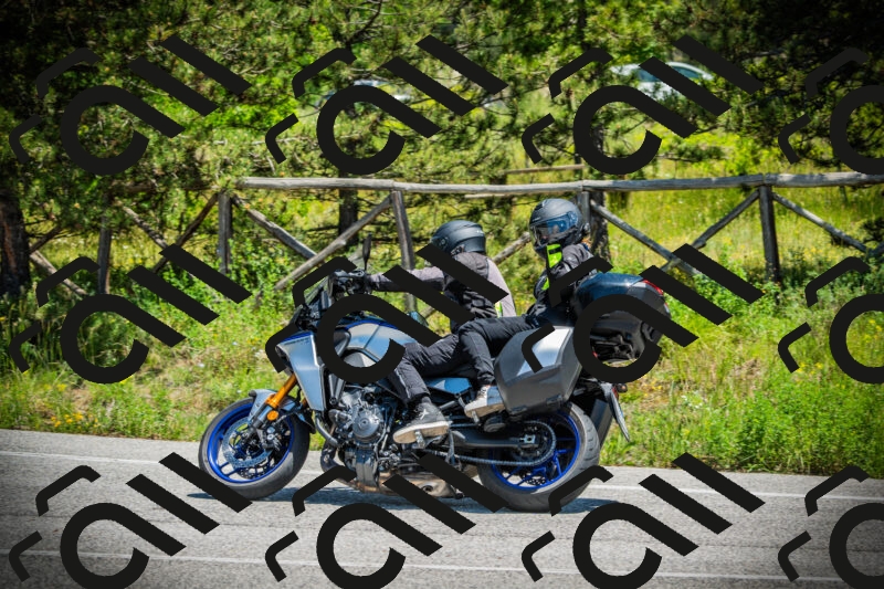 202506021255-DSC05001_c1_