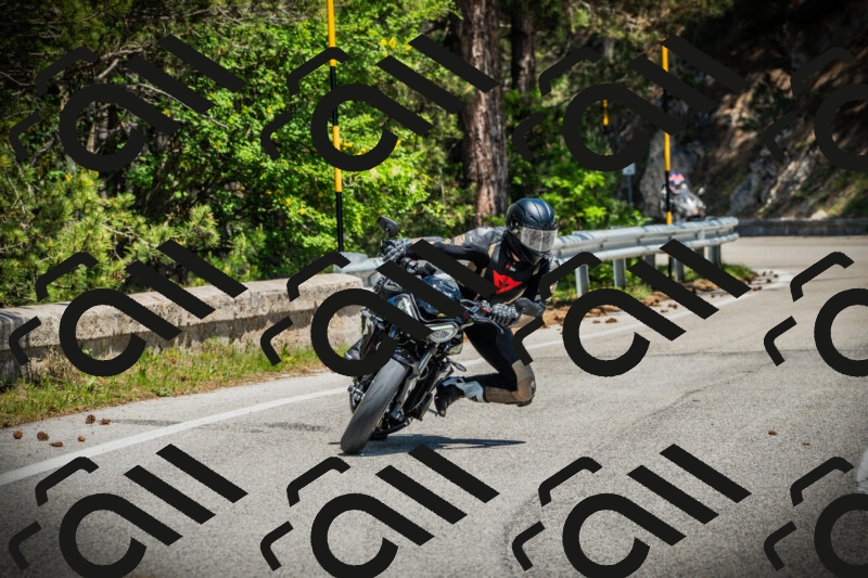 202506021256-DSC05003_c1_