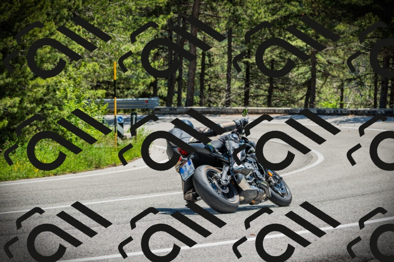 202506021256-DSC05007_c1_