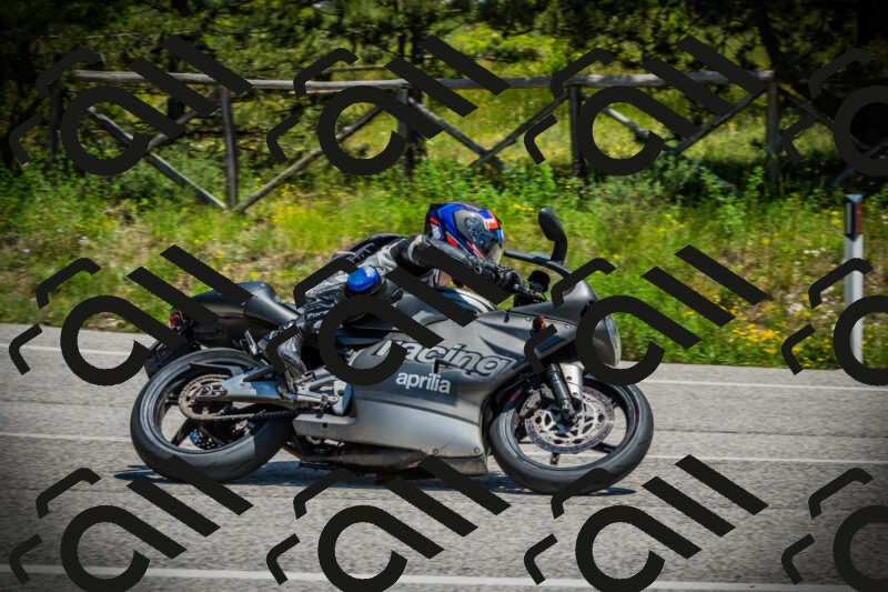 202506021256-DSC05010_c1_