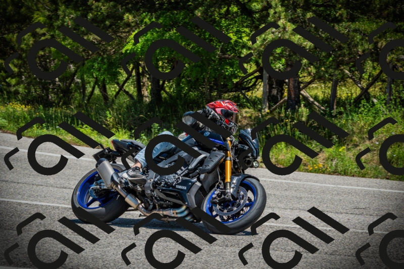 202506021256-DSC05015_c1_