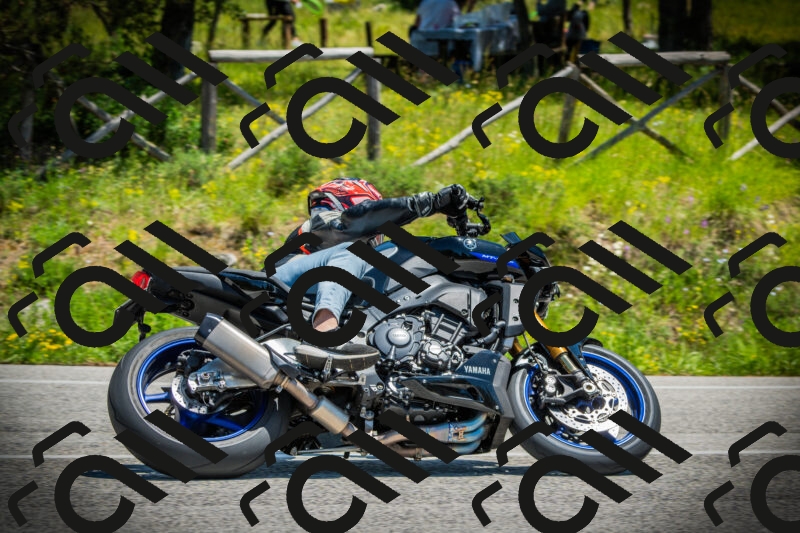 202506021256-DSC05016_c1_