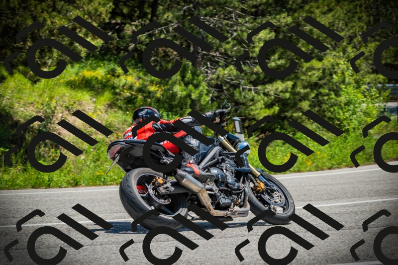 202506021256-DSC05018_c1_