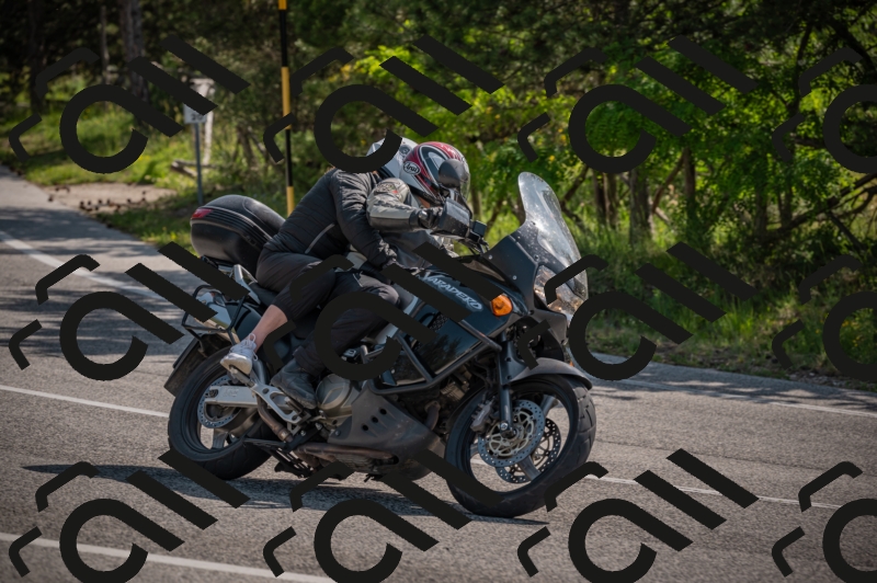 20250607100147-_Z626838_am_