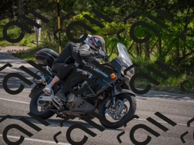 20250607100147-_Z626838_am_