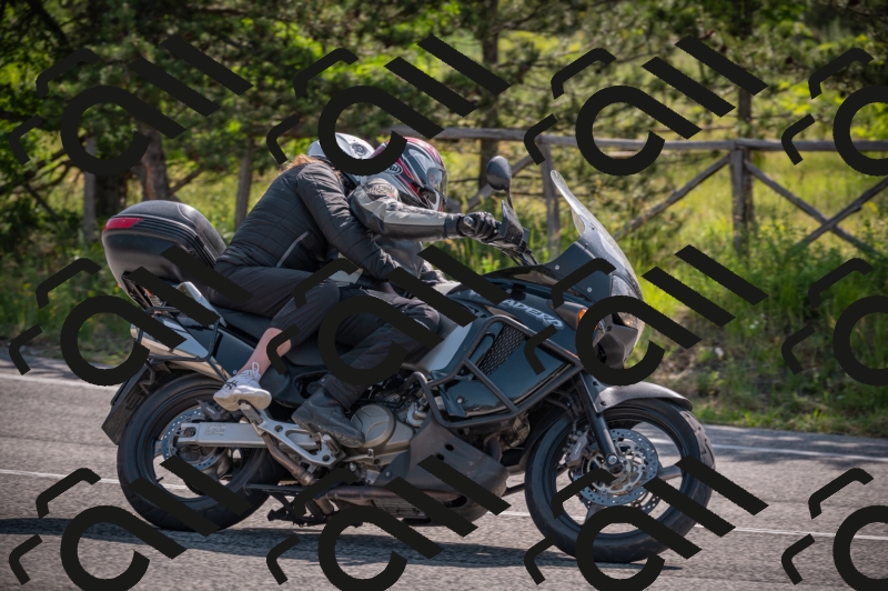 20250607100147-_Z626839_am_