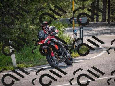 20250607100439-_Z626846_am_