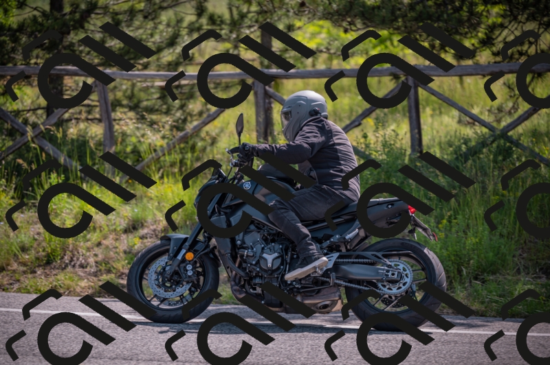 20250607101919-_Z626896_am_