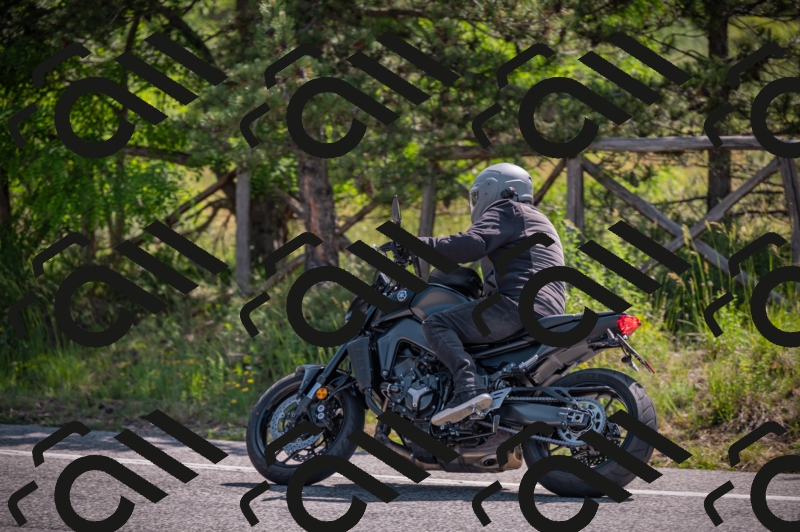 20250607101919-_Z626897_am_