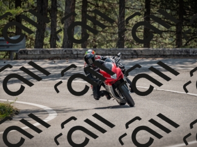 20250607102220-_Z626899_am_