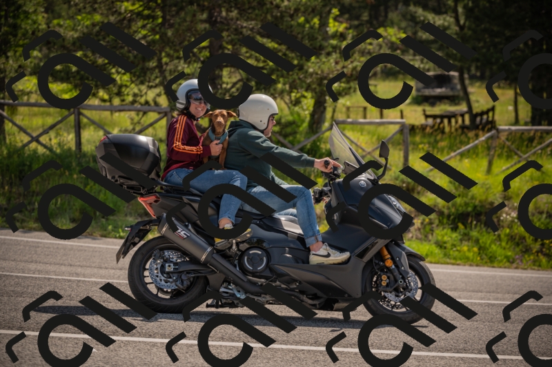 20250607103400-_Z626925_am_