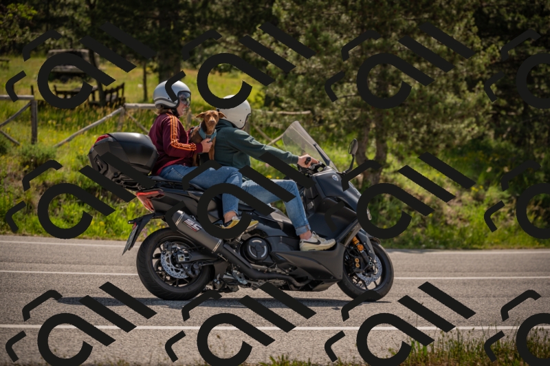 20250607103400-_Z626926_am_