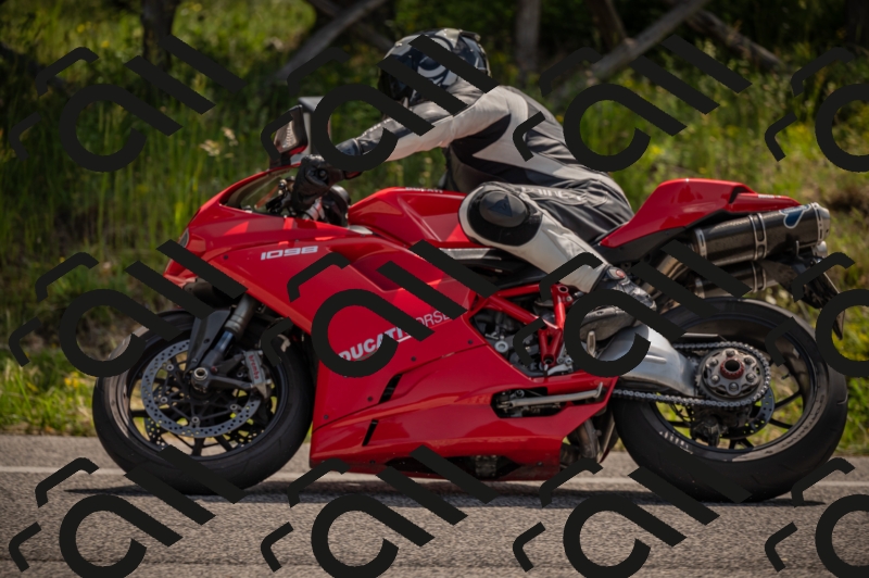 20250607105132-_Z627038_am_