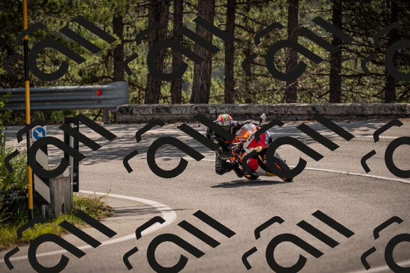 20250607105248-_Z627048_am_