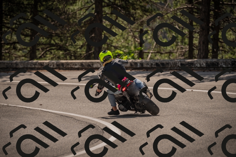 20250607110313-_Z627116_am_