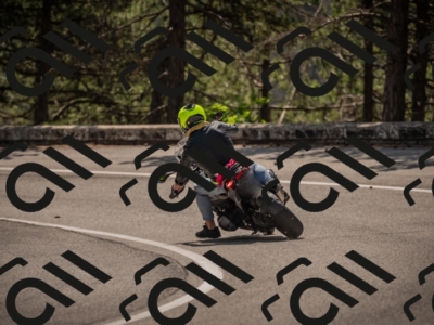 20250607110313-_Z627116_am_