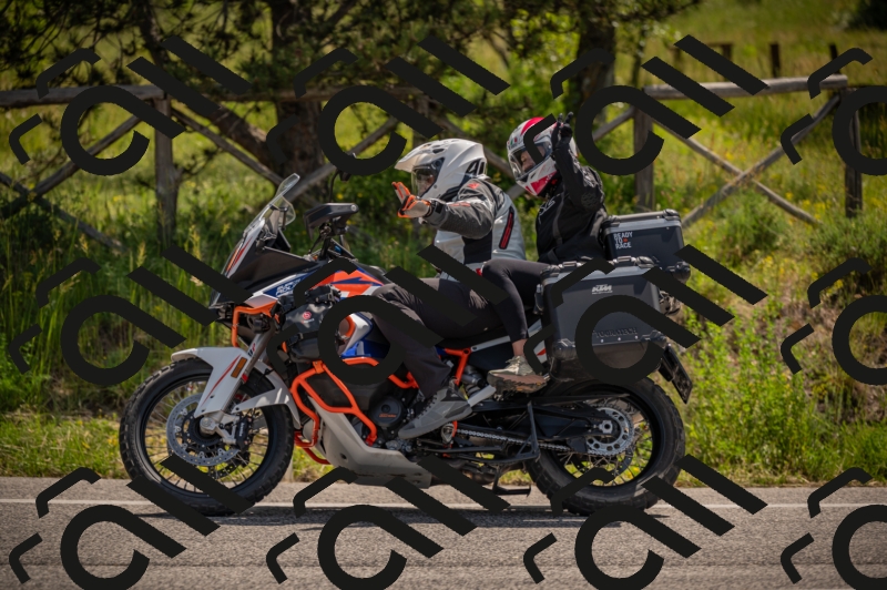 20250607110346-_Z627127_am_