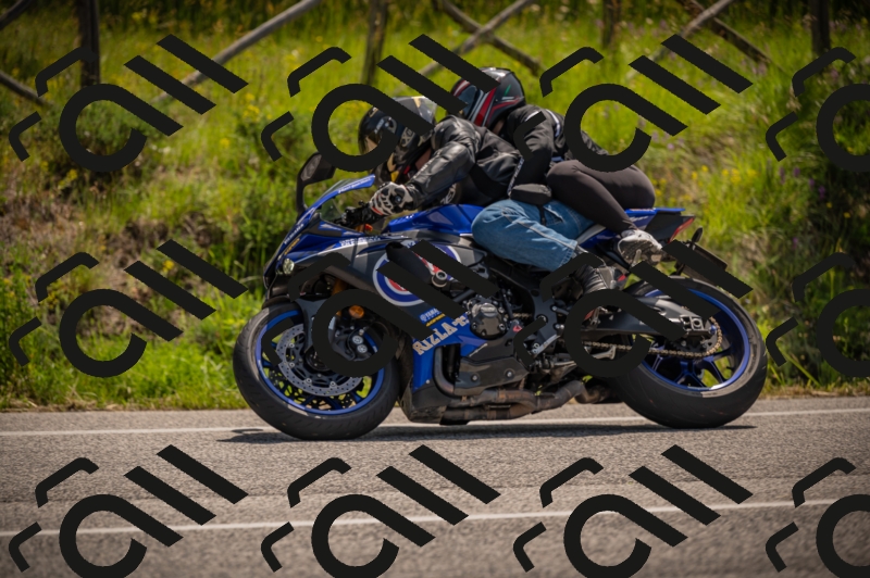 20250607110559-_Z627140_am_