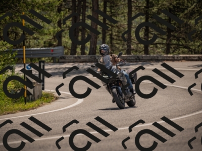 20250607111324-_Z627181_am_