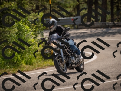 20250607111800-_Z627248_am_