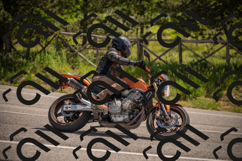 20250607111901-_Z627267_am_