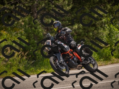 20250607112249-_Z627298_am_