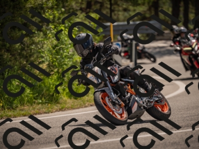 20250607112547-_Z627334_am_