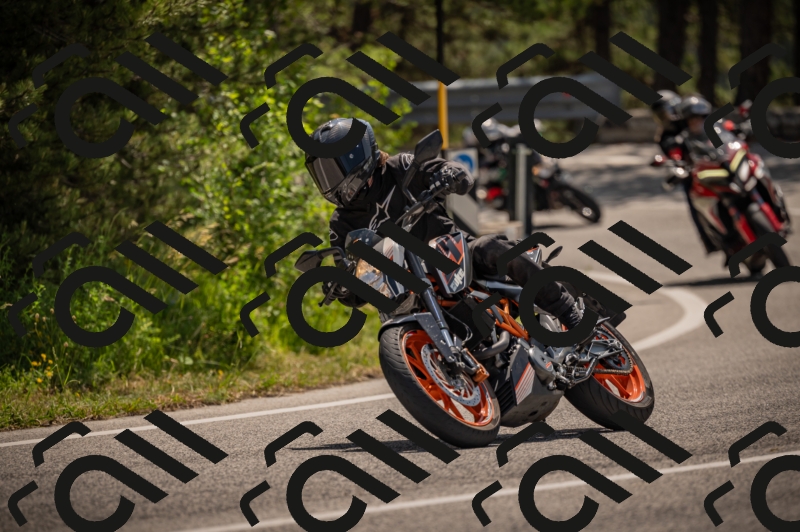 20250607112547-_Z627334_am_