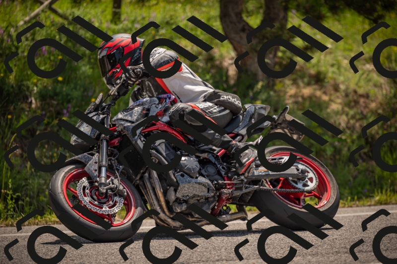 20250607112548-_Z627337_am_