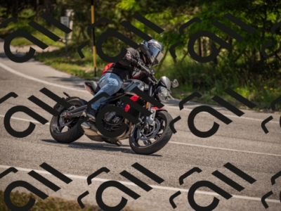 20250607112702-_Z627361_am_