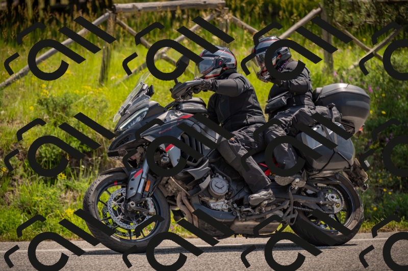 20250607112838-_Z627381_am_