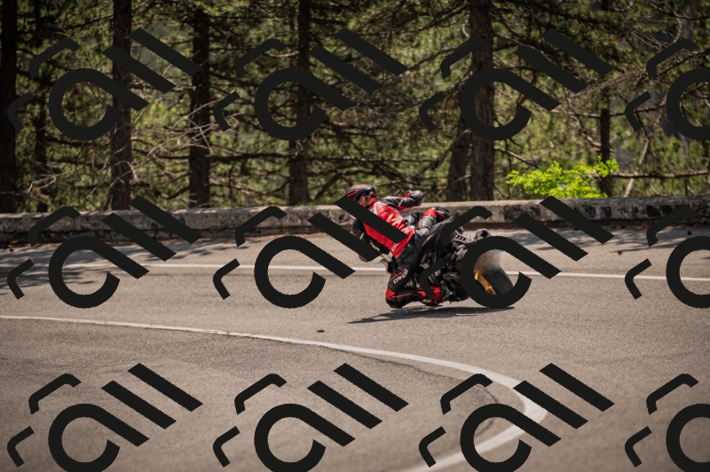 20250607112858-_Z627392_am_