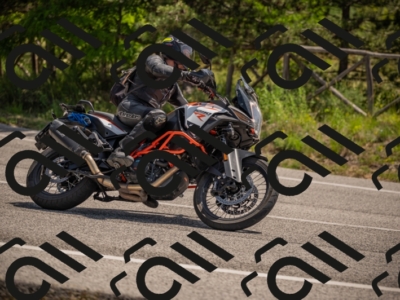 20250607113137-_Z627406_am_