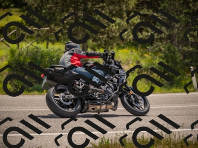 20250607113138-_Z627409_am_