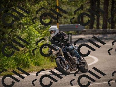 20250607113154-_Z627411_am_