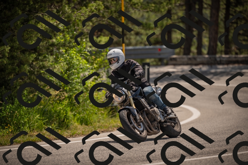 20250607113154-_Z627411_am_