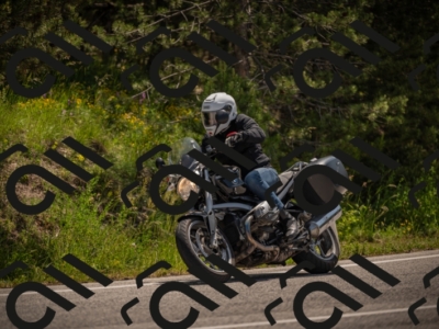 20250607113204-_Z627418_am_