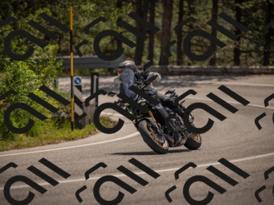 20250607113339-_Z627430_am_