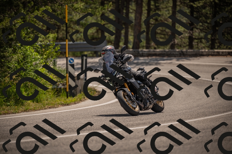 20250607113339-_Z627430_am_