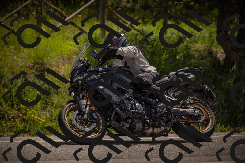 20250607113340-_Z627431_am_