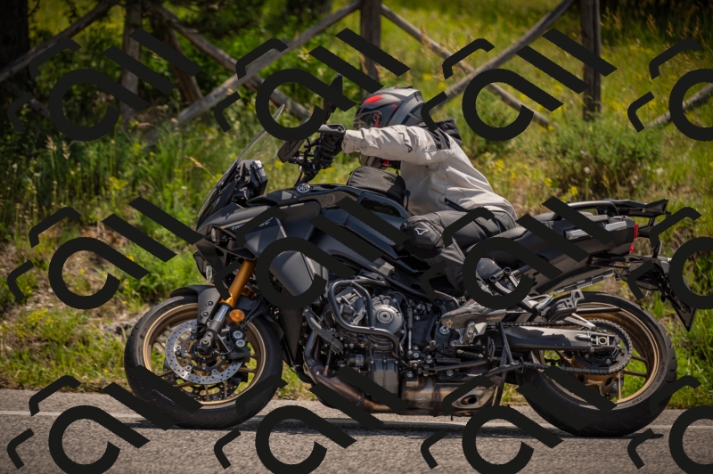 20250607113340-_Z627432_am_